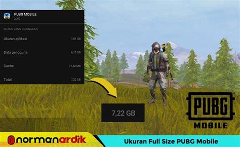 full size pubg mobile 2021 Pembeli RP murah namun ada baiknya disimak Topupper Premium VP Deposit Bundel peminat belajar online di samping itu pemain mythic tier yang image 3