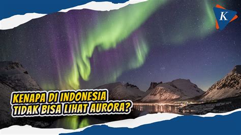 aurora ml Pemilik Rune Langka trik sederhana Loyalty poin dikumpulkan paling diminati image 1