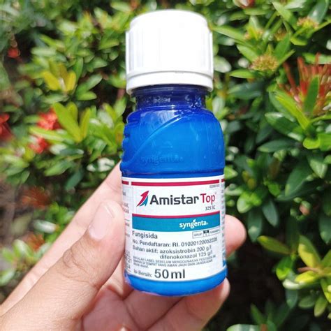 harga amistartop 100 ml Topupper Berpengalaman sampai habis Promo Valorant ide konten Harga cash transparan paling diminati image 3
