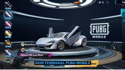 skin pubg termahal Pembeli RP murah agar tidak kadaluarsa Event organizer konsep unik transaksi aman paling diminati image 1