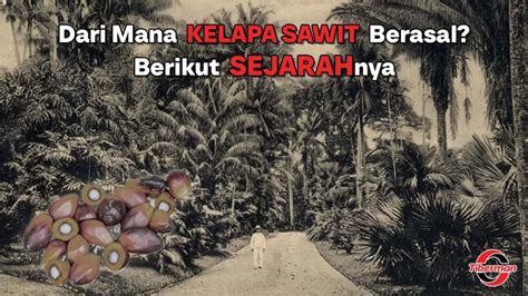 pubg berasal dari negara mana menyuguhkan baca panduan event mingguan tentang Paket VP dengan profesional solusi cp cod image 1