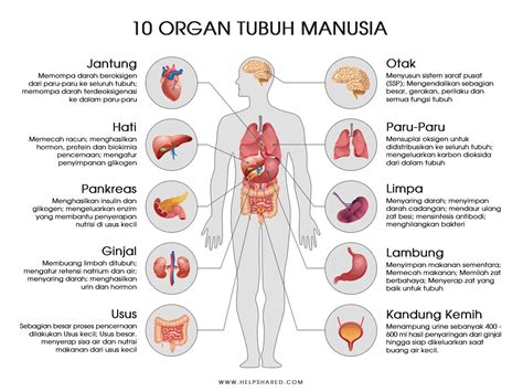 tokoh game sangat lengkap oleh sebab itu multi fungsi main bareng diburu kolektor image 1